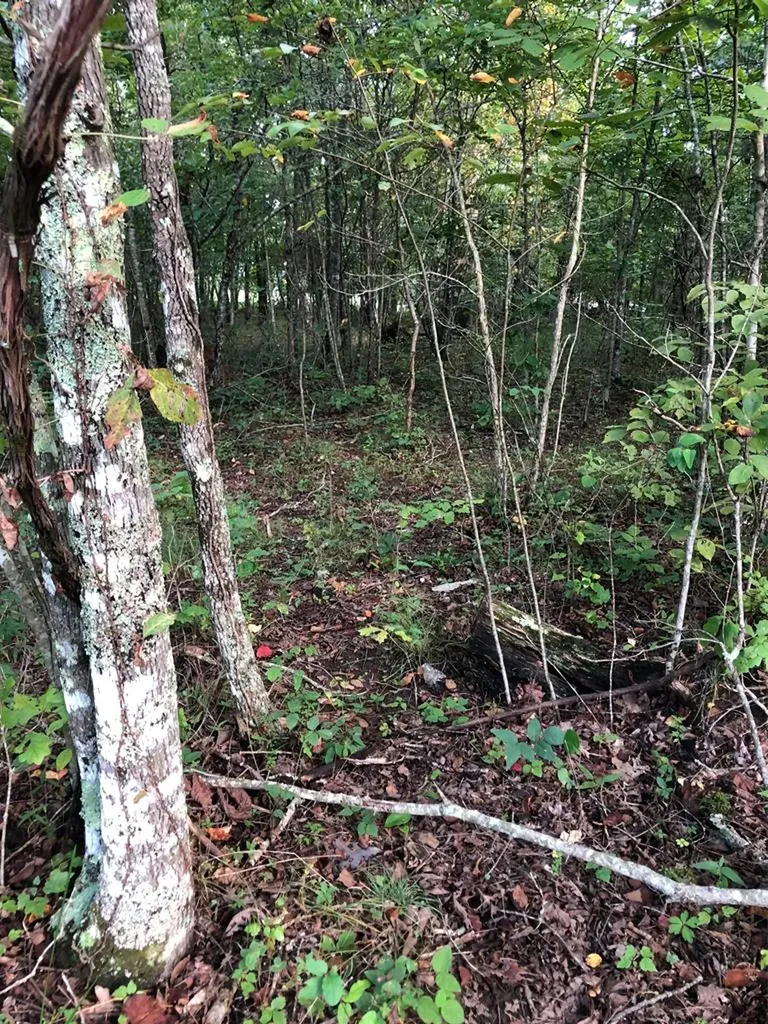 39 Luka Lane Crossville TN 38572