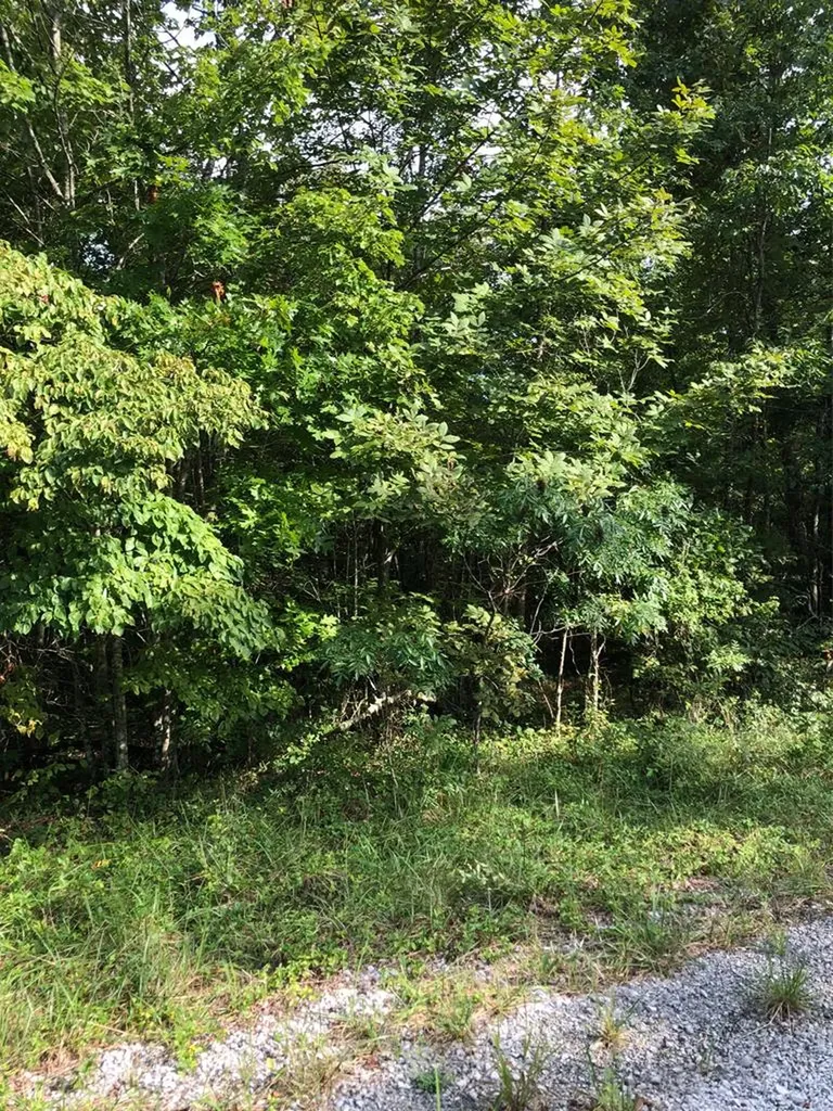 39 Luka Lane Crossville TN 38572