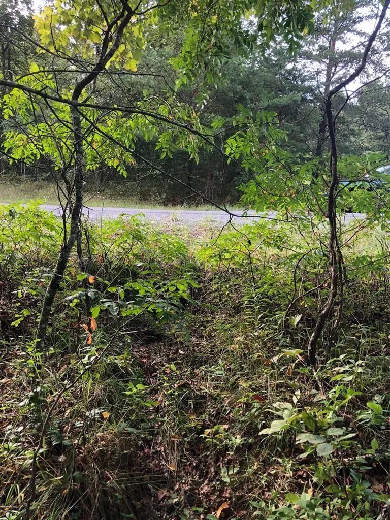 39 Luka Lane Crossville TN 38572