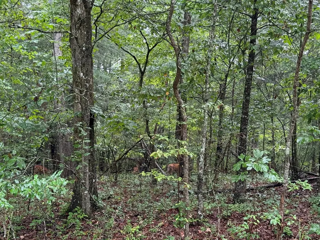 3040 Oklahoma Drive Crossville TN 38572