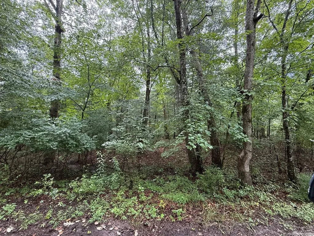 3040 Oklahoma Drive Crossville TN 38572