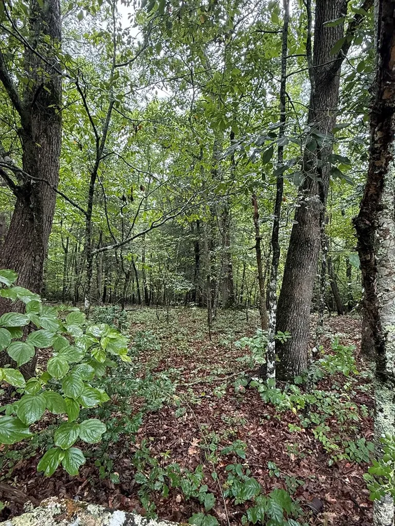 3038 Oklahoma Drive Crossville TN 38572