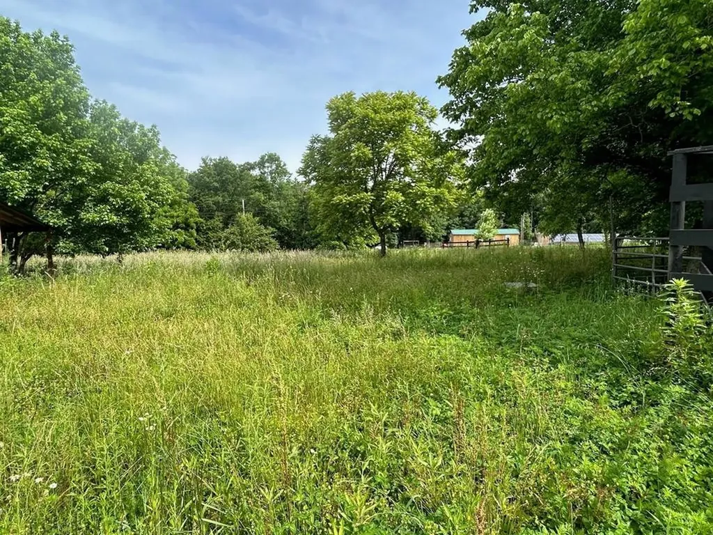 2530 Roslin Road Deer Lodge TN 37726