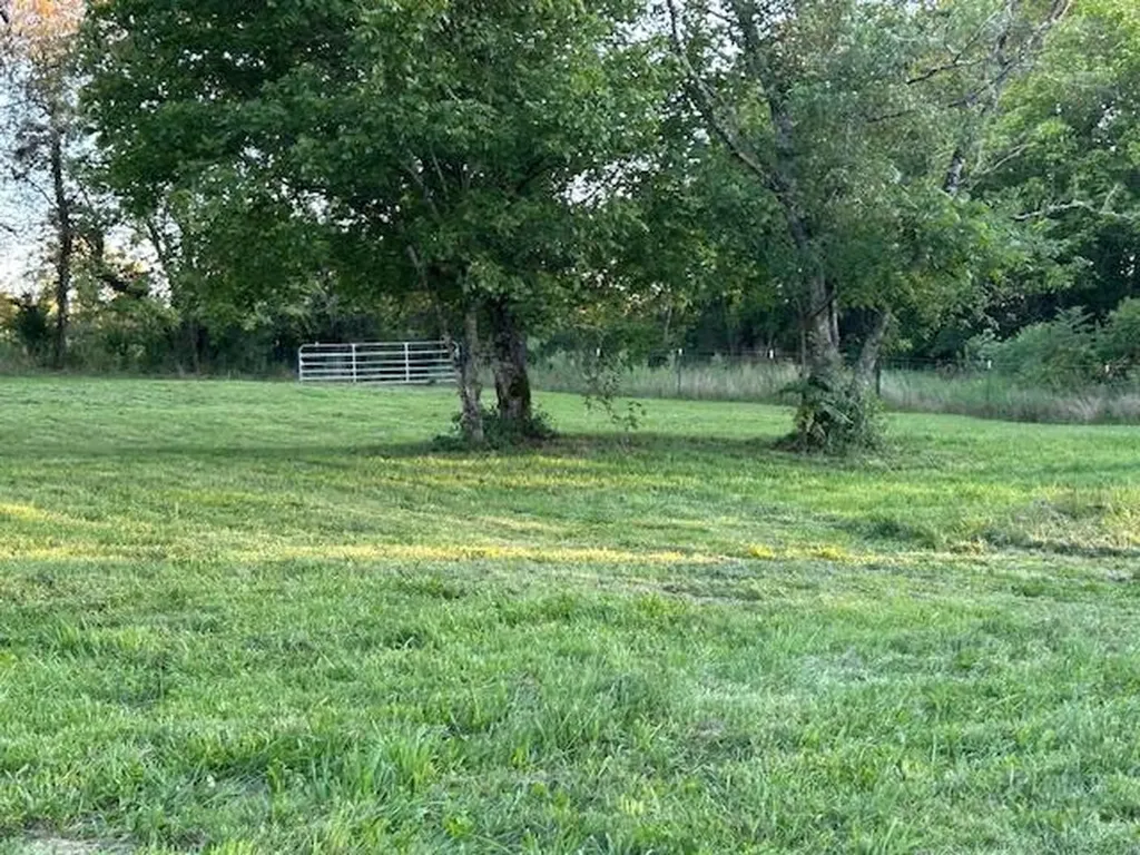 2530 Roslin Road Deer Lodge TN 37726