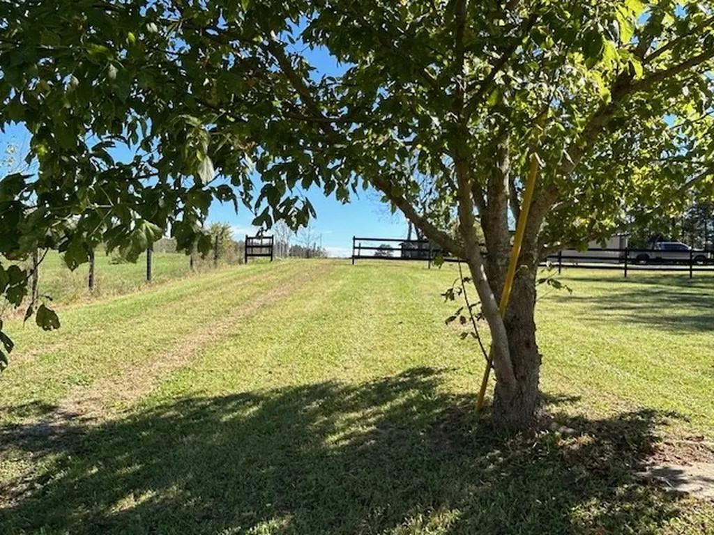 2530 Roslin Road Deer Lodge TN 37726