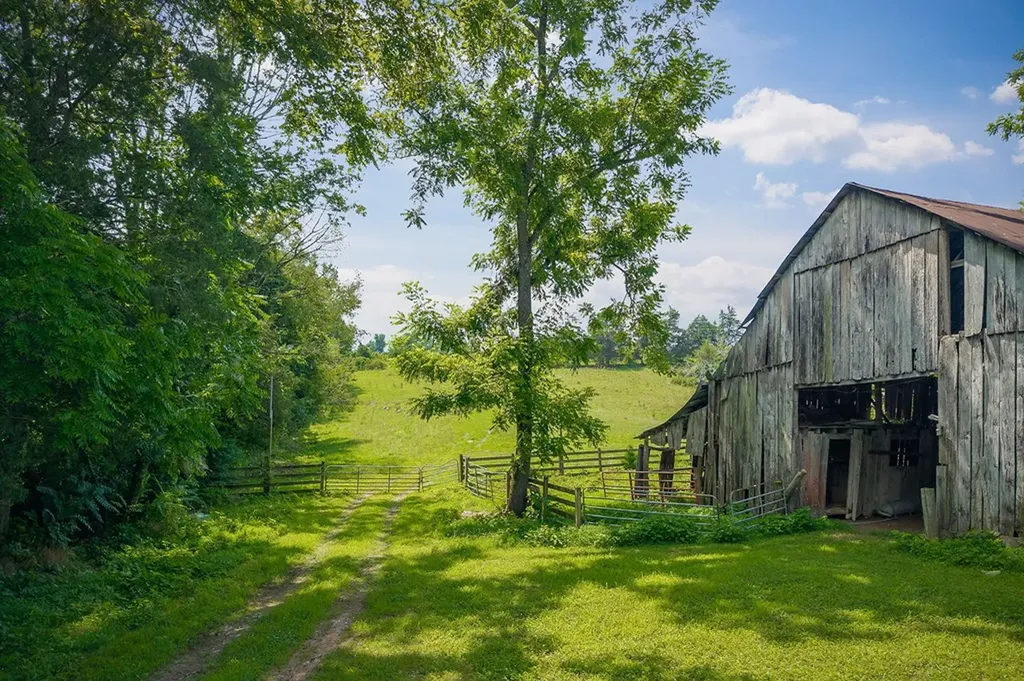 3908 Lost Creek Road Sparta TN 38583