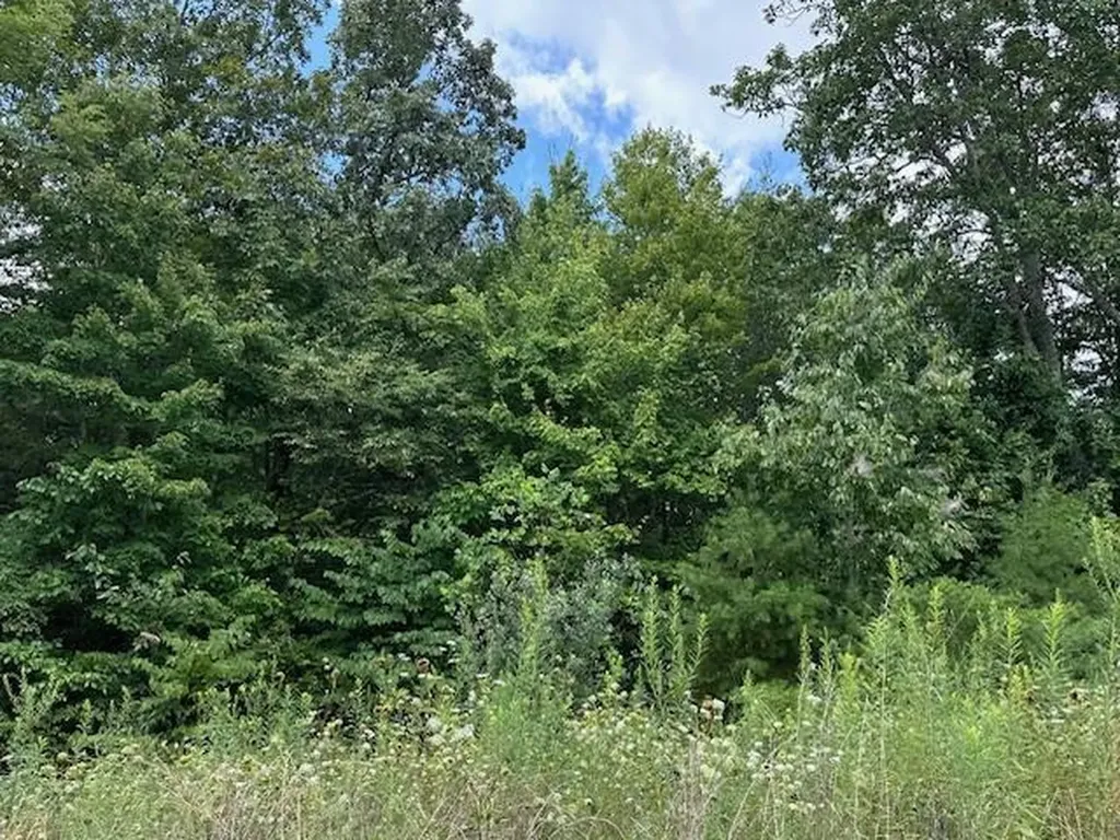 Lot 89 Bobcat Lane Wilder TN 38589