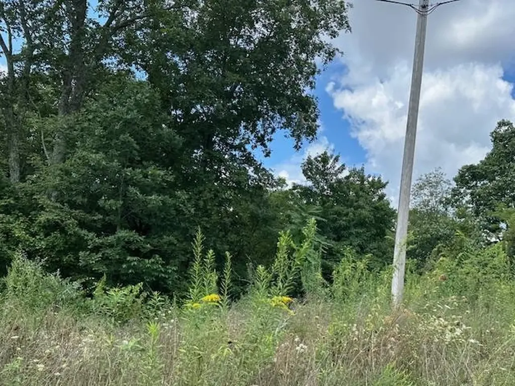 Lot 89 Bobcat Lane Wilder TN 38589