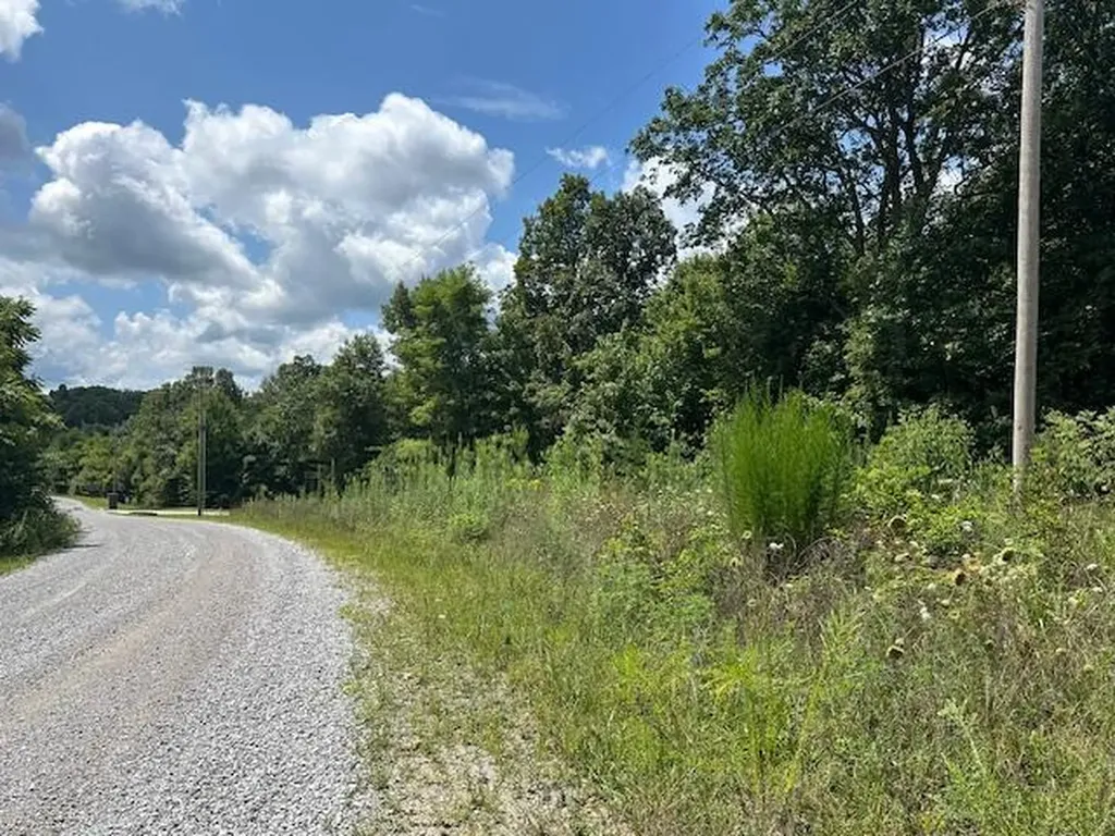 Lot 89 Bobcat Lane Wilder TN 38589