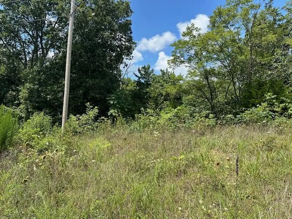 Lot 89 Bobcat Lane Wilder TN 38589