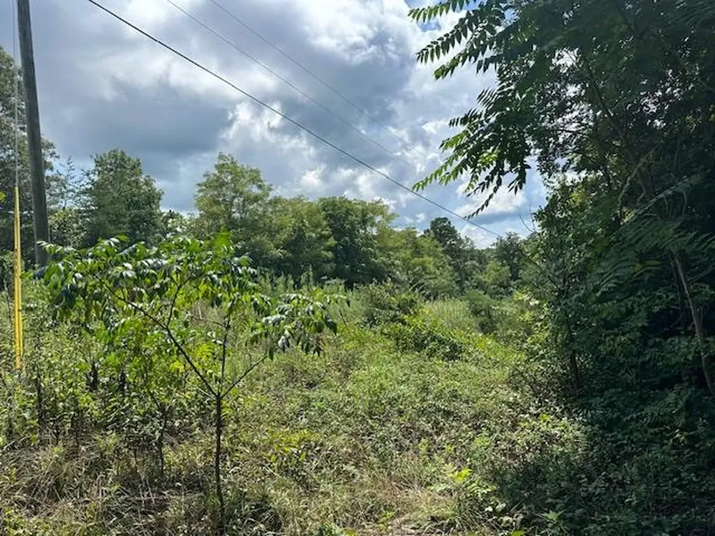 Lot 89 Bobcat Lane Wilder TN 38589