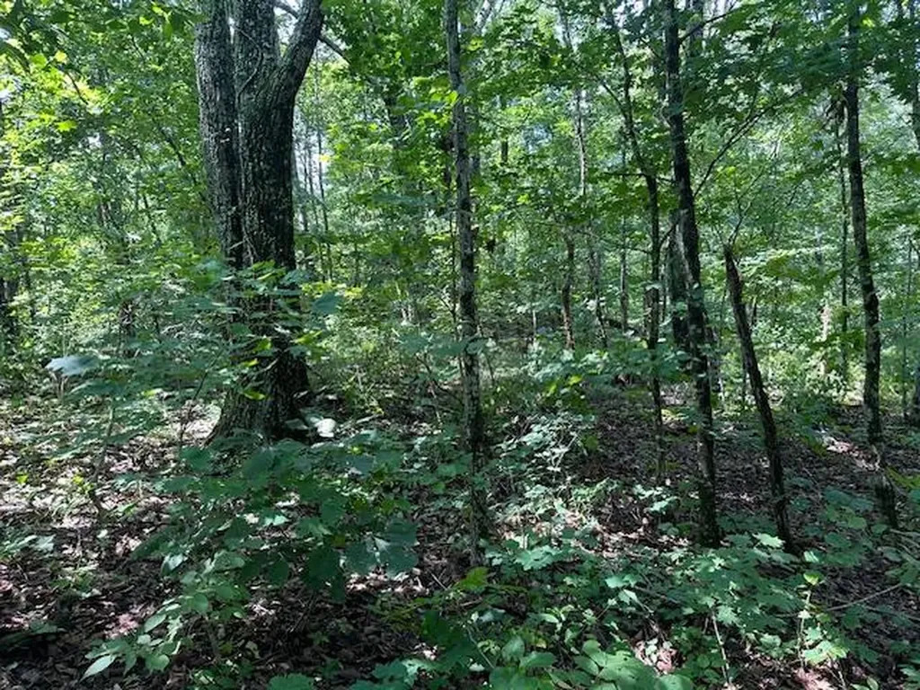 Lot 89 Bobcat Lane Wilder TN 38589