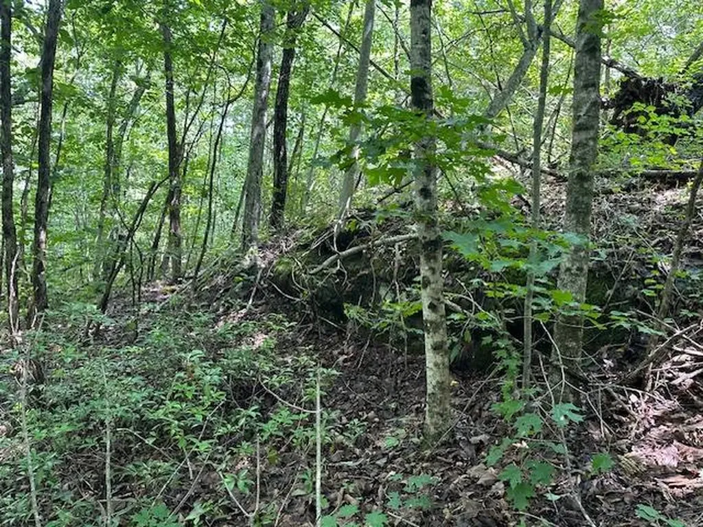 Lot 89 Bobcat Lane Wilder TN 38589