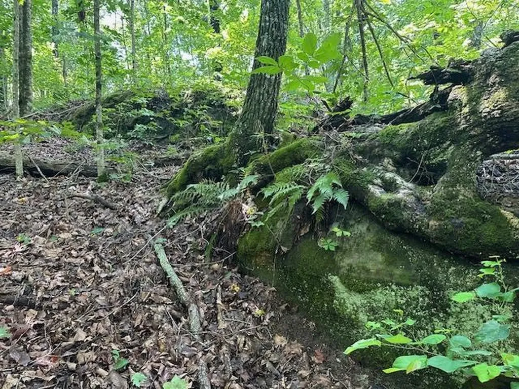 Lot 89 Bobcat Lane Wilder TN 38589