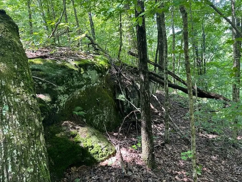 Lot 89 Bobcat Lane Wilder TN 38589