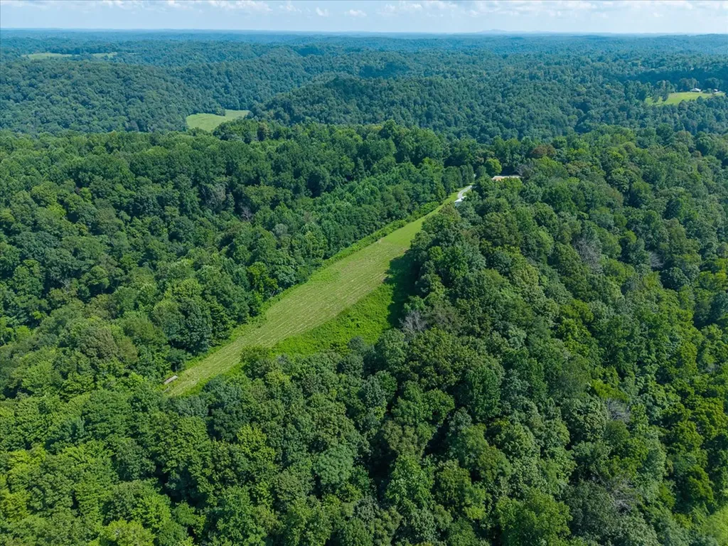 1130 York Highway Gainesboro TN 38562