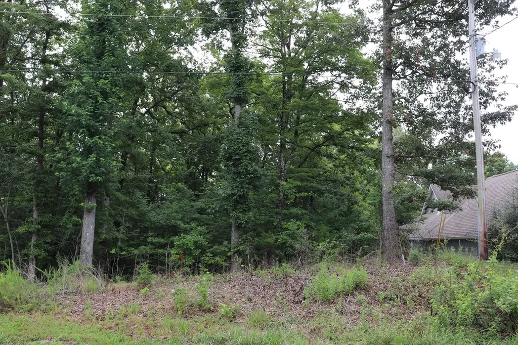 0 Moonlight Bay Drive Sparta TN 38583