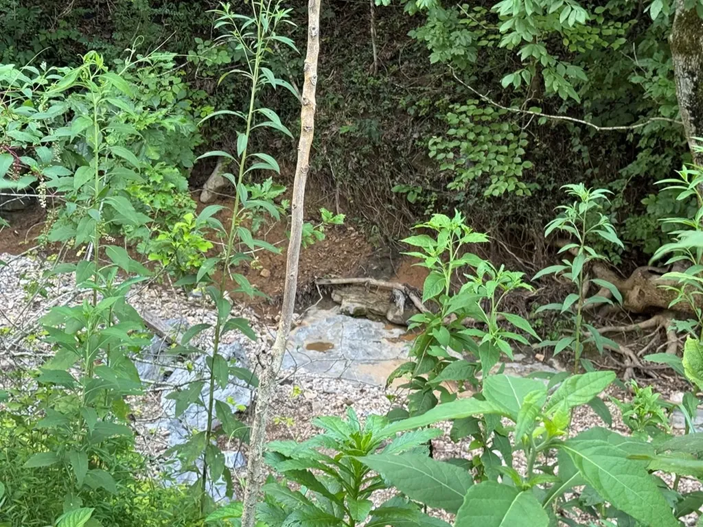 0 Holmes Creek Road Smithville TN 37166