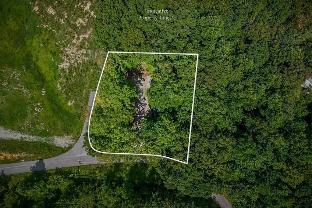 308 Cosby Parris Byrdstown TN 38549