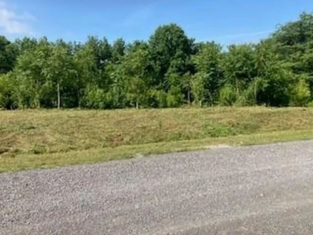 Lot 36 Lanis Road Baxter TN 38544