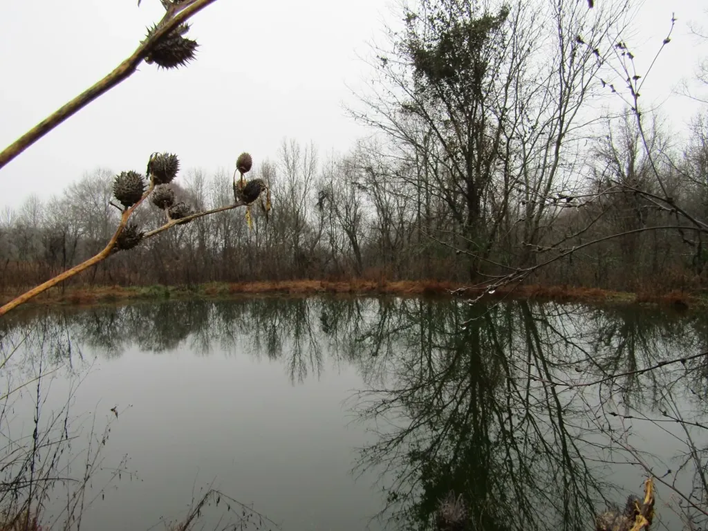 Lot 36 Lanis Road Baxter TN 38544