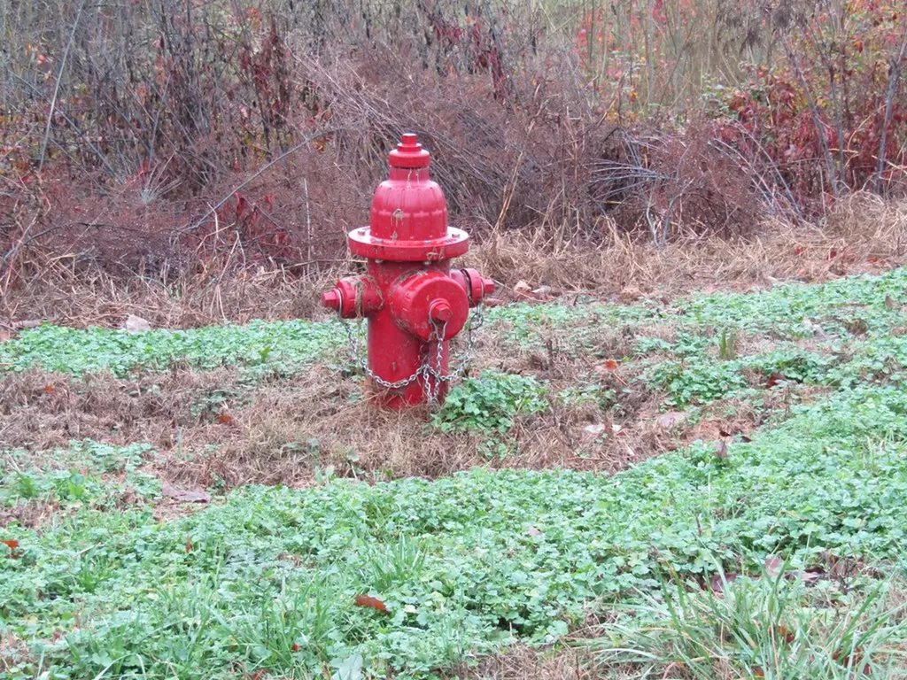 Lot 36 Lanis Road Baxter TN 38544