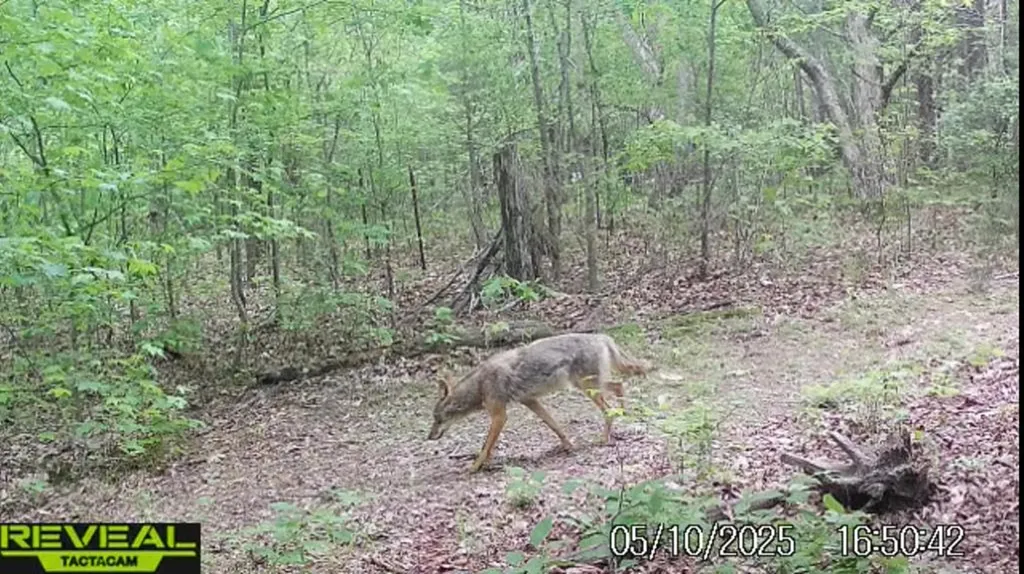 5931 Buffalo Valley Road Cookeville TN 38501