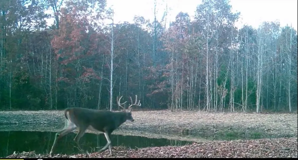 5931 Buffalo Valley Road Cookeville TN 38501