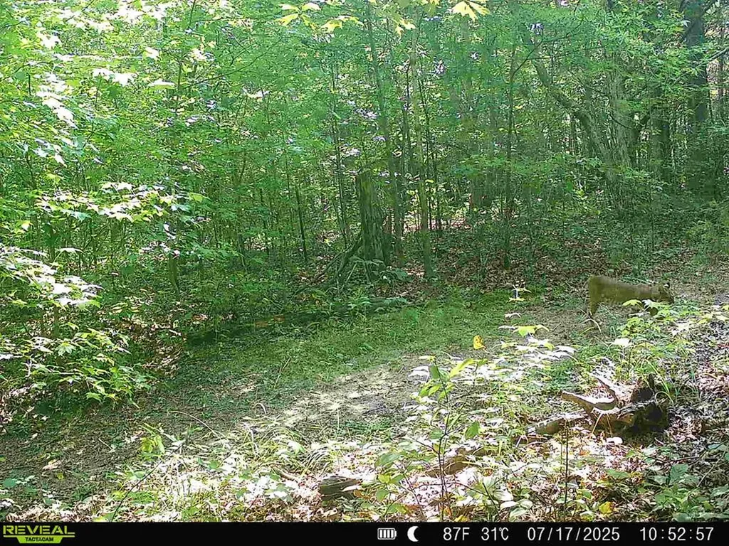 5931 Buffalo Valley Road Cookeville TN 38501