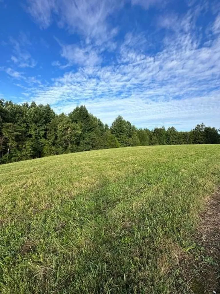 0 Knob Creek Road Wartrace TN 37183
