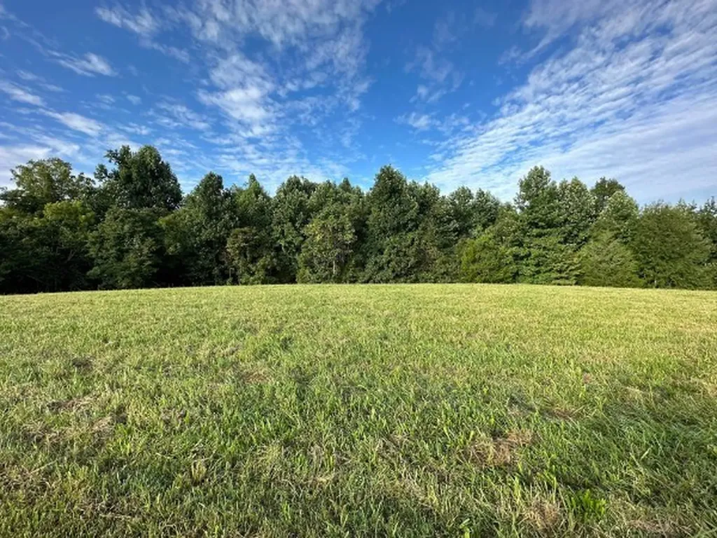 0 Knob Creek Road Wartrace TN 37183