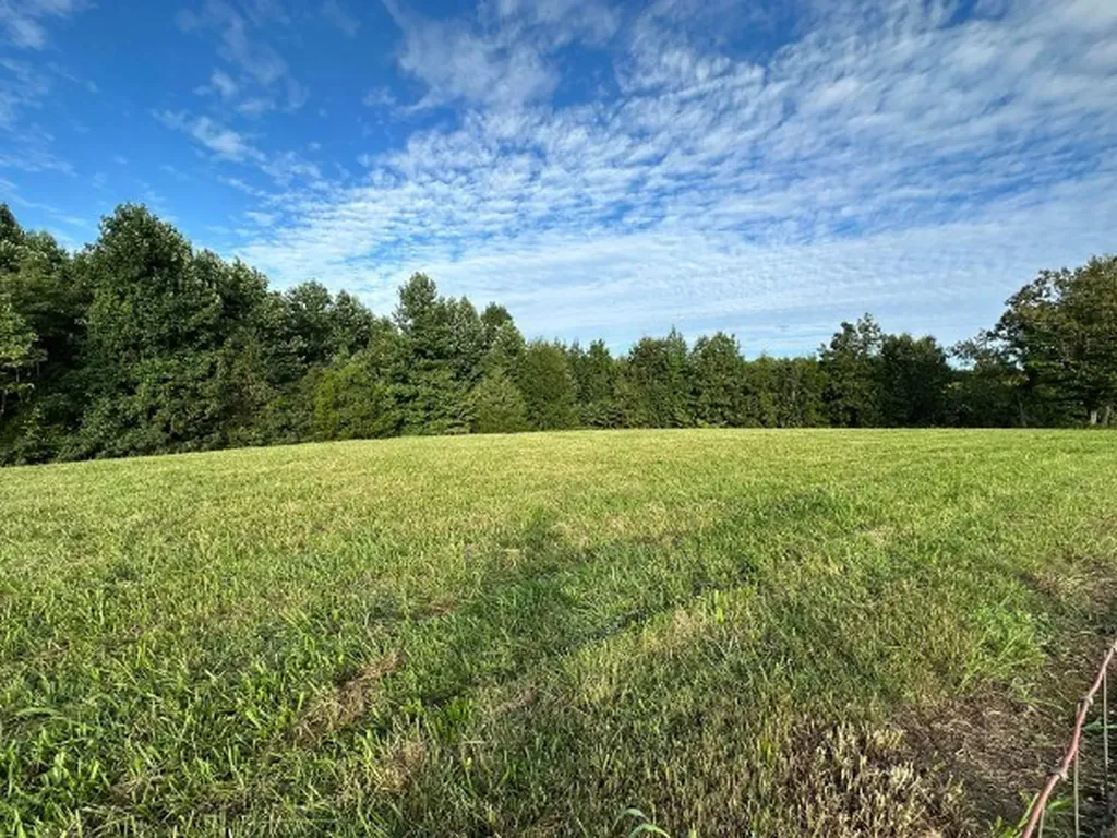 0 Knob Creek Road Wartrace TN 37183
