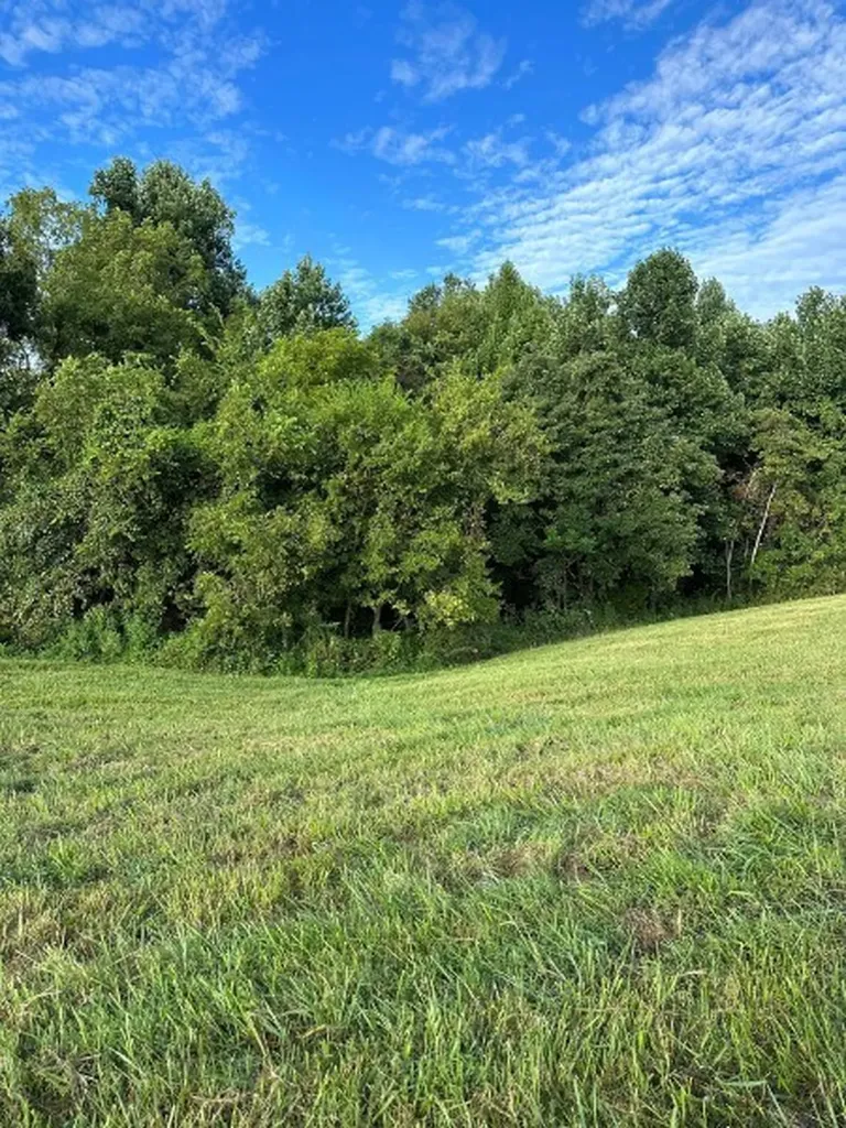 0 Knob Creek Road Wartrace TN 37183