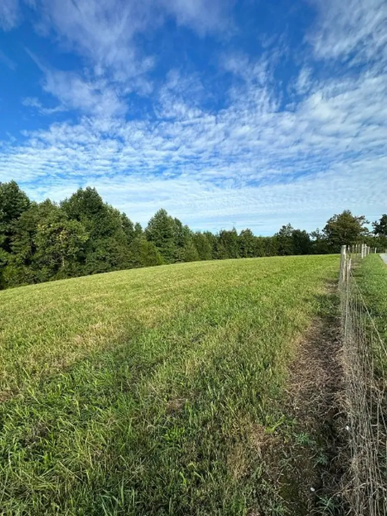 0 Knob Creek Road Wartrace TN 37183