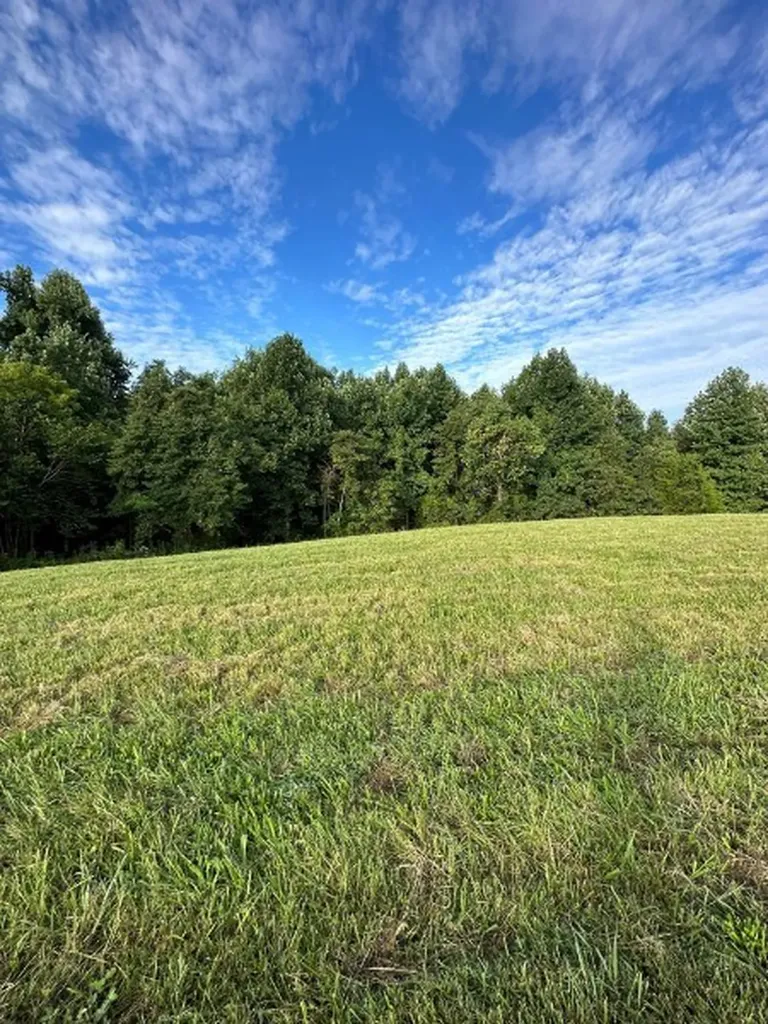 0 Knob Creek Road Wartrace TN 37183