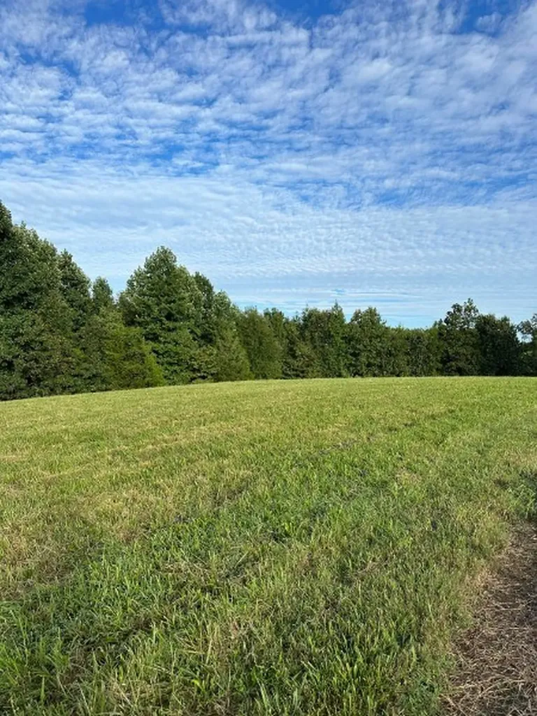 0 Knob Creek Road Wartrace TN 37183