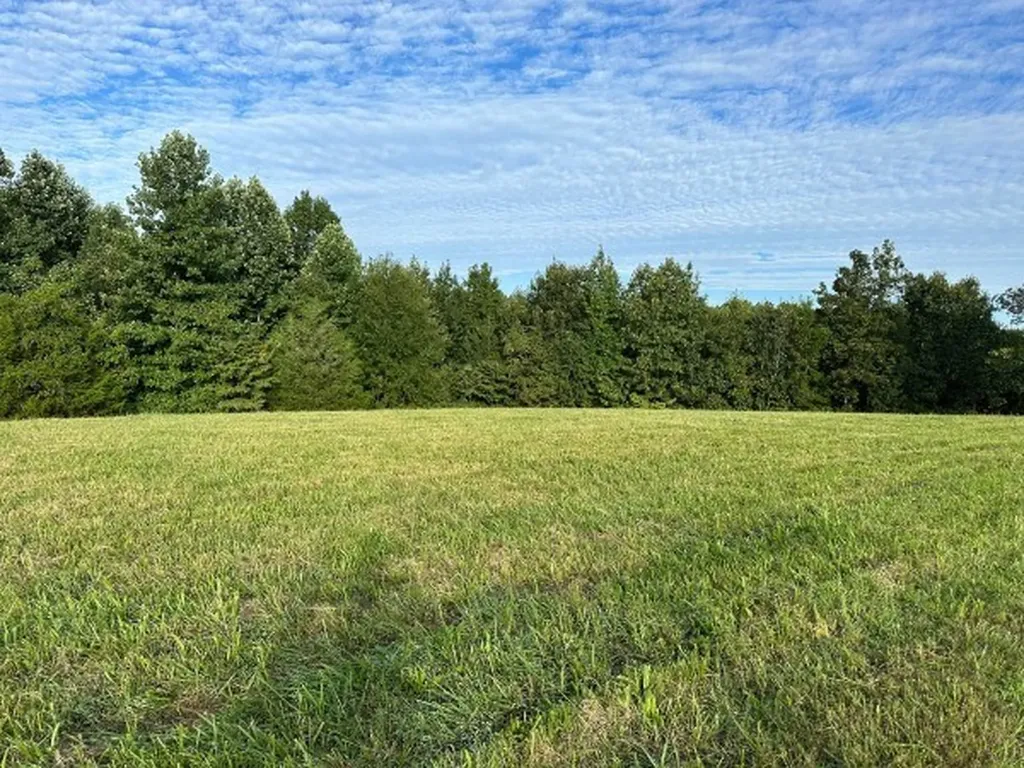0 Knob Creek Road Wartrace TN 37183