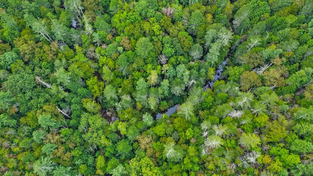 4676 Rugby Pike Allardt TN 38504