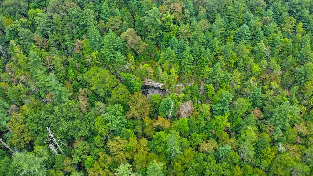 4676 Rugby Pike Allardt TN 38504