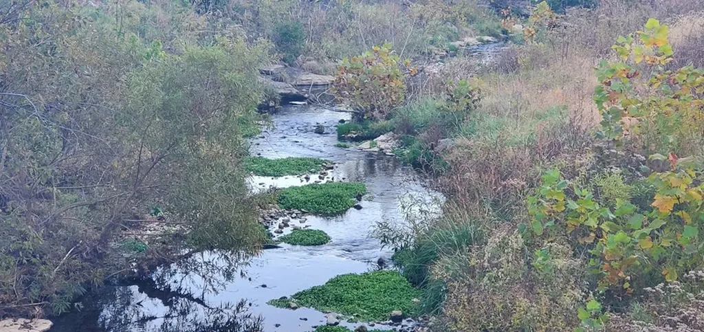 1103 Wartrace Highway Pleasant Shade TN 37145