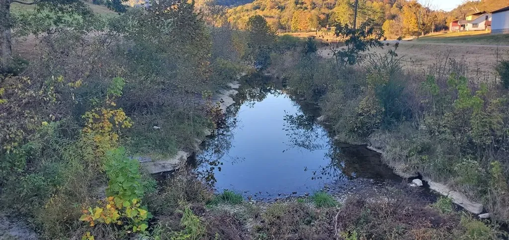 1103 Wartrace Highway Pleasant Shade TN 37145