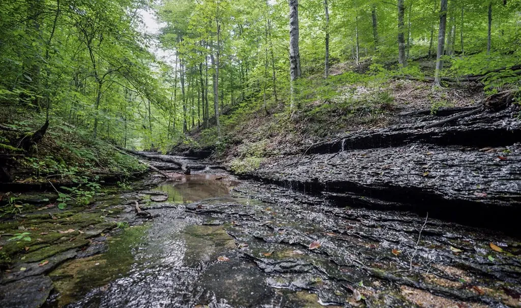 1005 Birdwell Road Whitleyville TN 38588