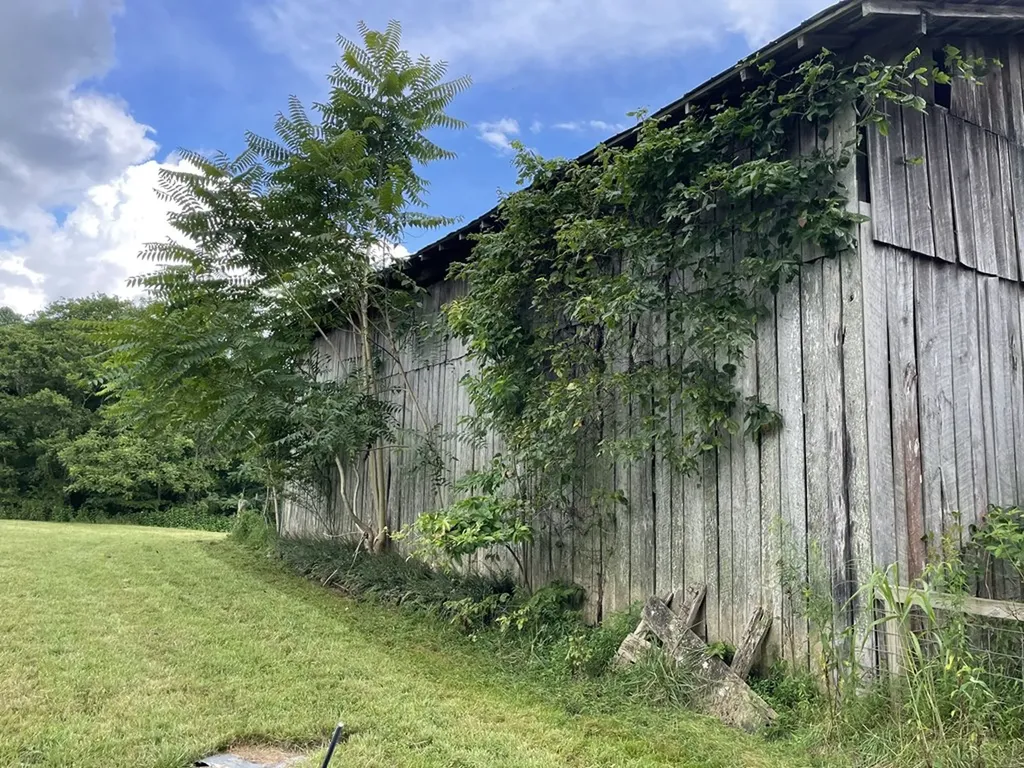 1005 Birdwell Road Whitleyville TN 38588