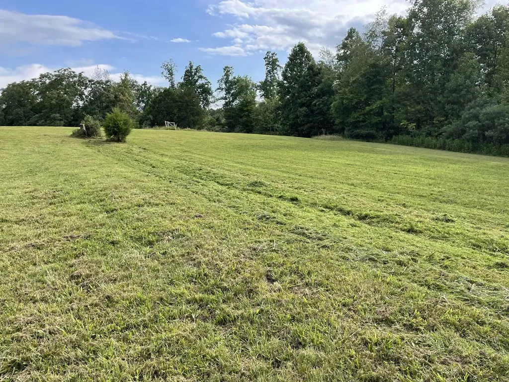 1005 Birdwell Road Whitleyville TN 38588