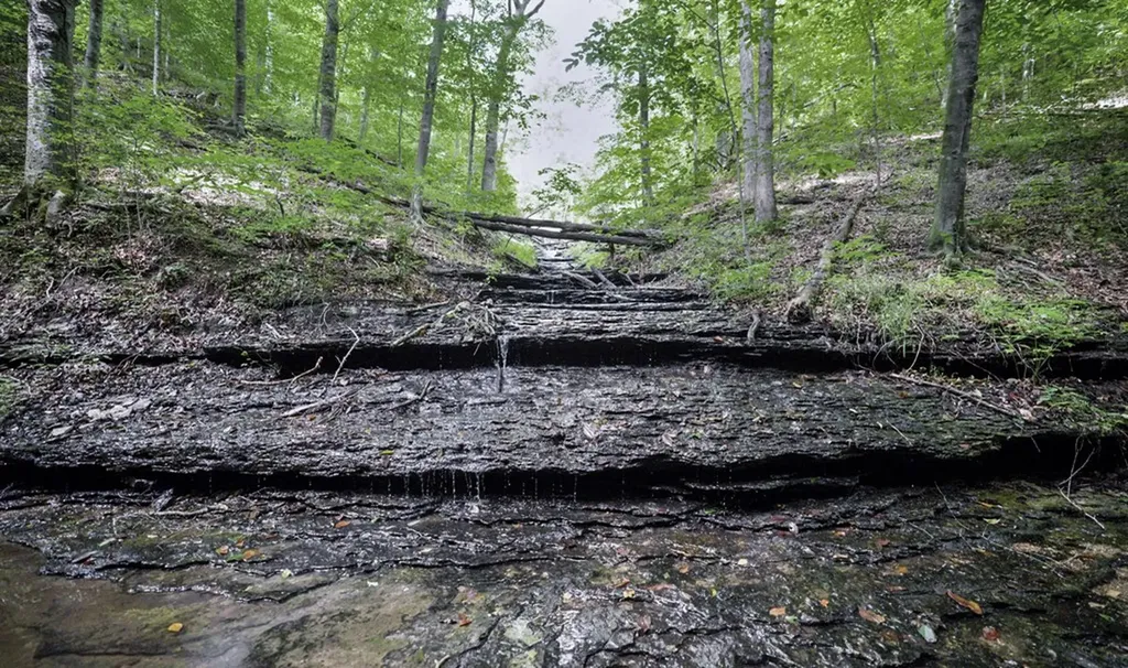 1005 Birdwell Road Whitleyville TN 38588