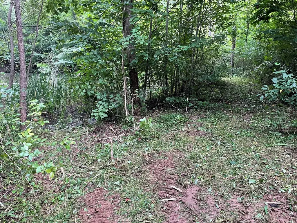 1005 Birdwell Road Whitleyville TN 38588