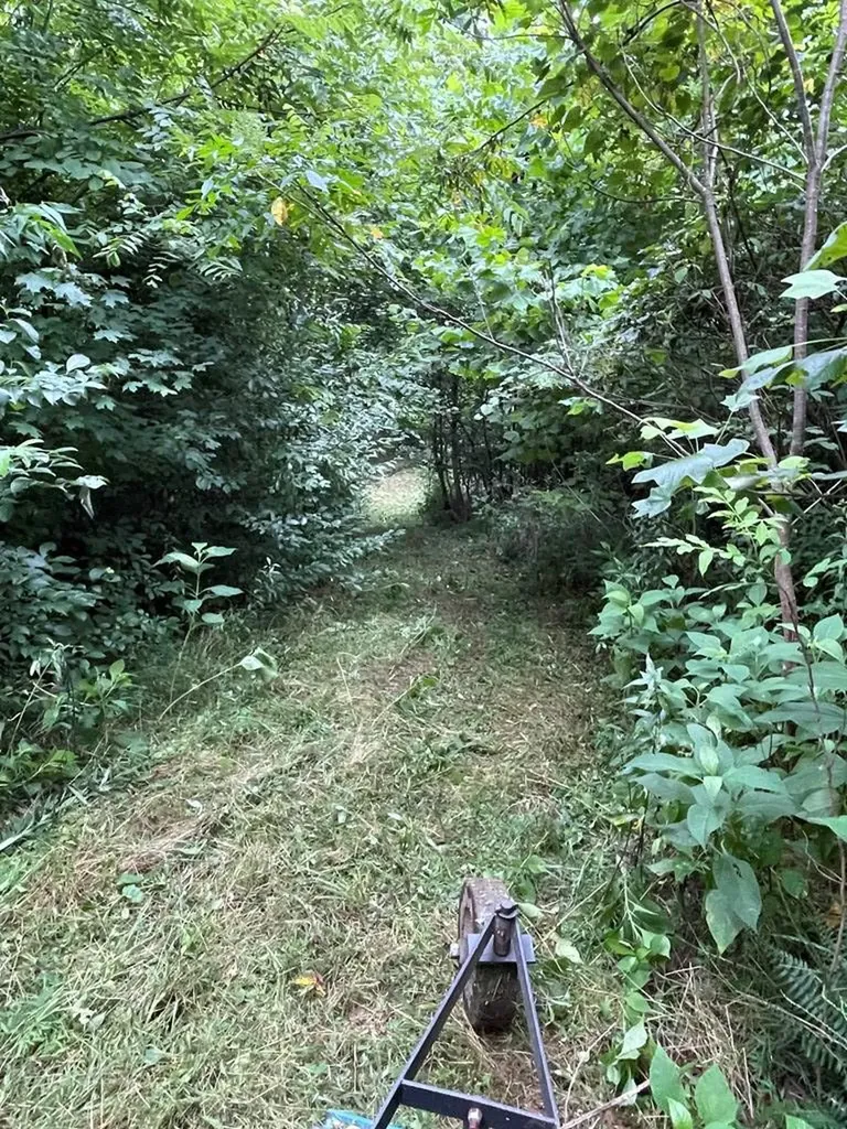 1005 Birdwell Road Whitleyville TN 38588