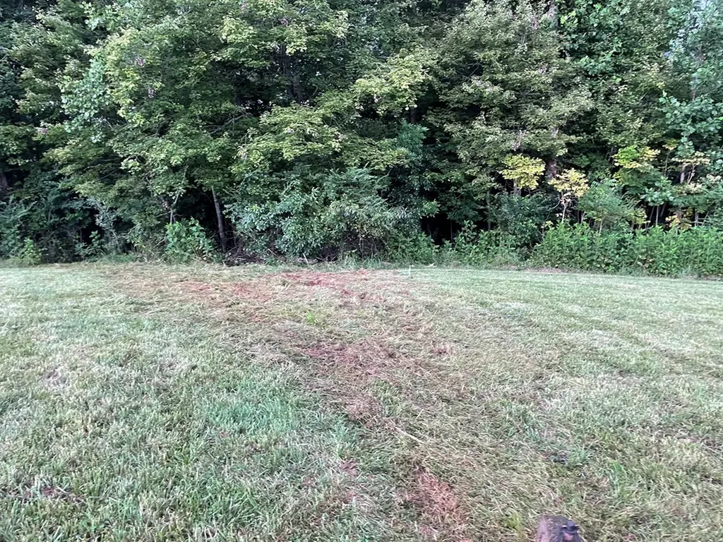 1005 Birdwell Road Whitleyville TN 38588