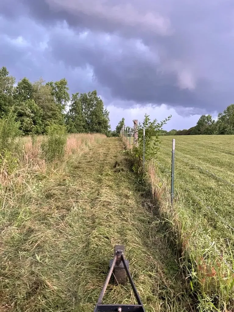 1005 Birdwell Road Whitleyville TN 38588