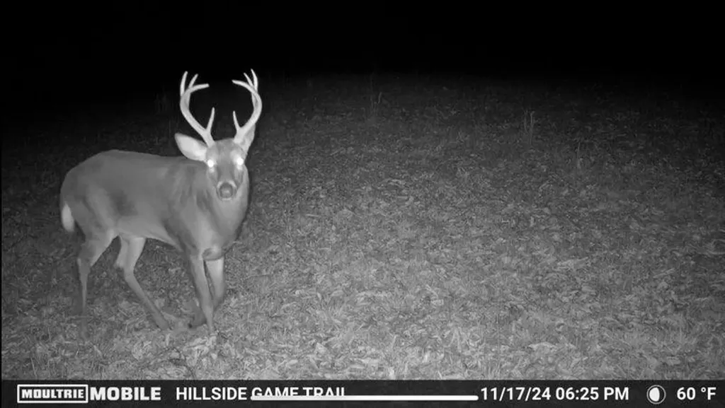 1005 Birdwell Road Whitleyville TN 38588